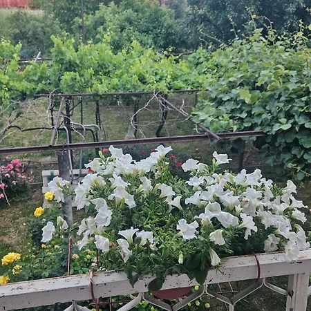 Apartament Sunnyside Podgorica