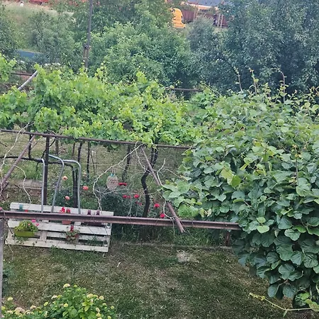 Sunnyside Apartament Podgorica